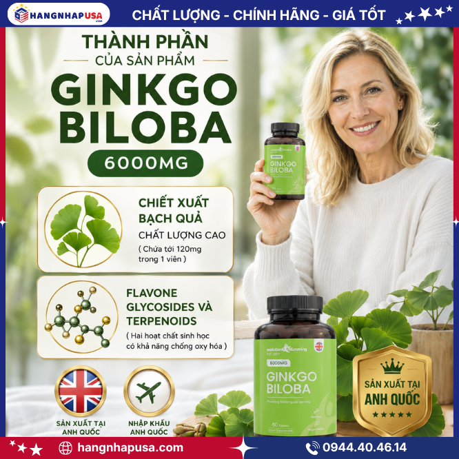 Thành phần của sản phẩm Ginkgo Biloba 6000mg
