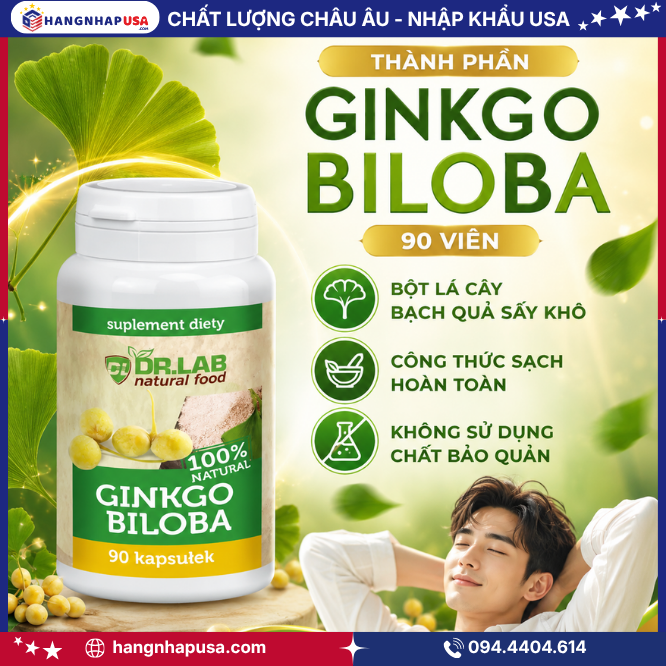 Thành Phần Viên Uống Hỗ Trợ Ngủ Ngon Ginkgo Biloba 90 Viên