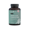Tribulus Terrestris 60 viên hỗ trợ tăng cơ phát triển cơ bắp từ Anh Quốc