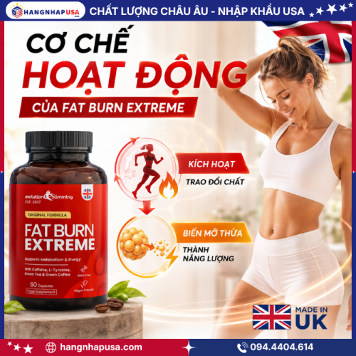 Cơ chế hoạt động hỗ trợ đốt mỡ thông minh của Fat Burn Extreme